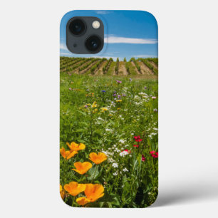title_seo2 EEUU, Washington, Walla Walla.Flores silvestres
