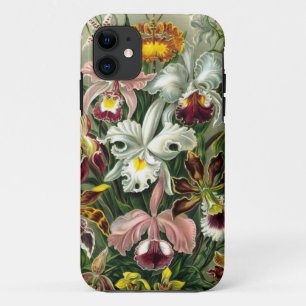 Funda Para iPhone 11 Ejemplo botánico de las orquídeas del vintage 1865