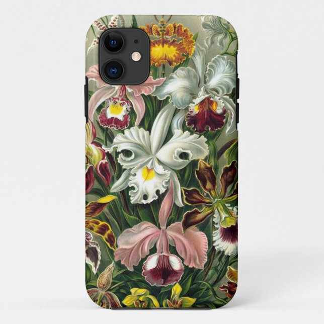 Funda De Case-Mate Para iPhone Ejemplo botánico de las orquídeas del vintage 1865 (Reverso)