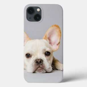 Funda Para iPhone 13 El Bulldog francés se desmorona