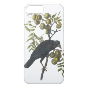 title_seo2 El cuervo americano por Audubon