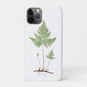 Funda Para iPhone 11 Pro El helecho simple,