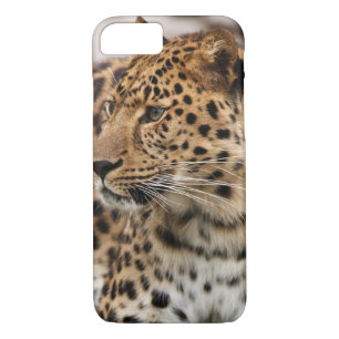 Funda Para iPhone 8/7 El leopardo