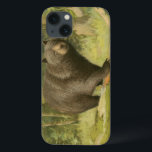 title_seo2 El oso negro pisando un tronco de árbol<br><div class="desc">Esta fina huella de arte de Oliver Kemp ilustra un oso pardo pisando un árbol caído en un bosque. Los colores verde pastel son relajantes para la vista y crean una agradable sensación de calor de la naturaleza que despierta en primavera. ¡Una gran adición a cualquier decoración rústica!</div>