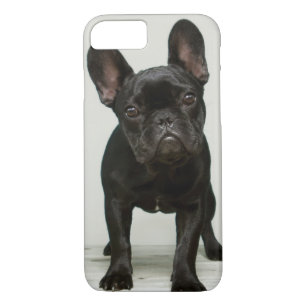 Funda Para iPhone 8/7 El perrito más lindo del bulldog francés