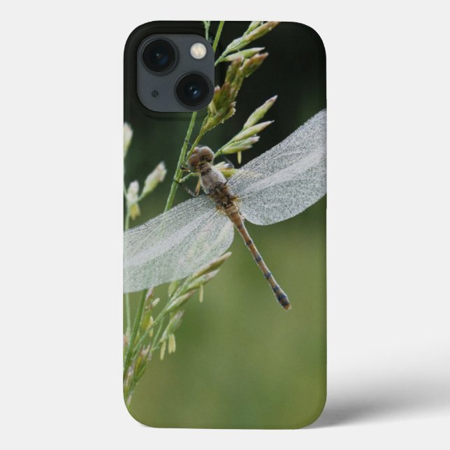 Funda De Case-Mate Para iPhone El rocío cubrió la libélula de Darner (Reverso)