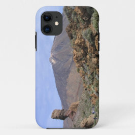 Funda Para iPhone 11 El Teide personalizado iPhone 5 funda-mate
