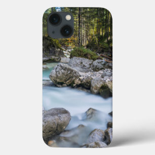 Funda Para iPhone 13 El torrente Ramsauer Ache