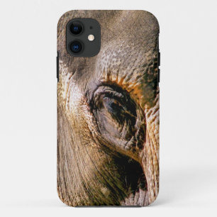 TITLE_SEO2 ELEFANTE