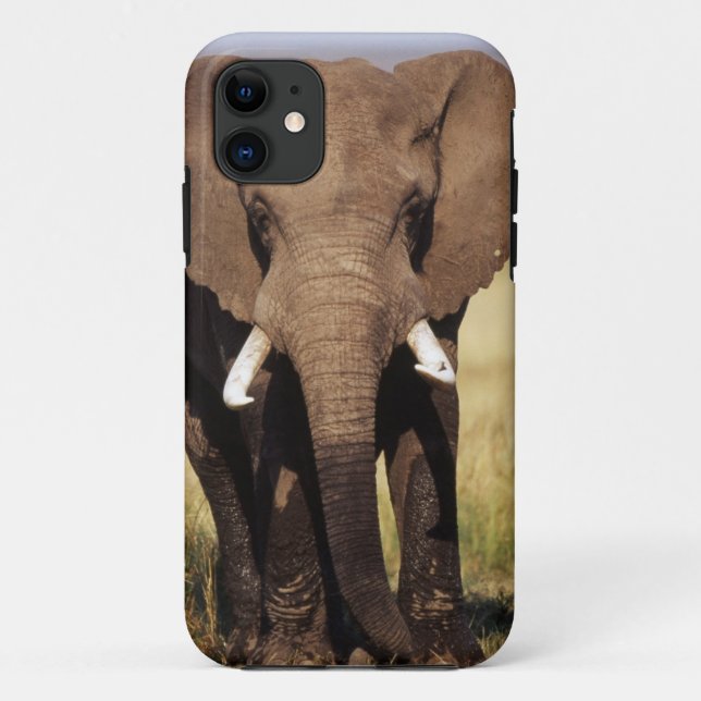 Funda De Case-Mate Para iPhone Elefante africano de sabana (Reverso)