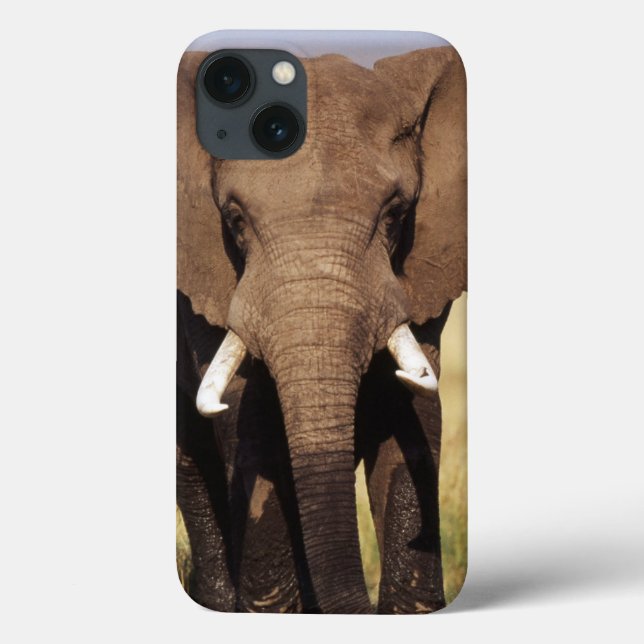 Funda De Case-Mate Para iPhone Elefante africano de sabana (Reverso)