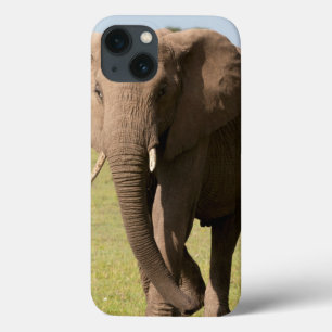 Funda Para iPhone 13 Elefante africano (Loxodonta Africana), Maasai