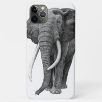 Elefante de toros - Dibujo a lápiz