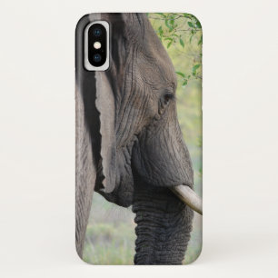 Funda Para iPhone X Elefante gris africano exótico