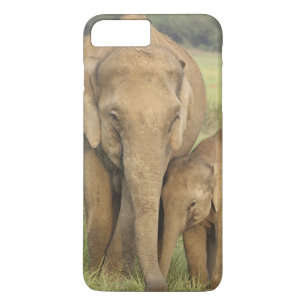 title_seo2 Elefante indio/asiático y joven, Corbett