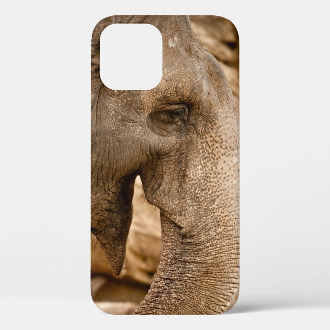 FUNDA DE Case-Mate PARA iPhone ELEFANTES (Reverso )