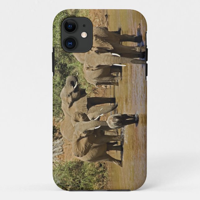Funda De Case-Mate Para iPhone Elefantes africanos, Loxodonta Africana, Samburu (Reverso)