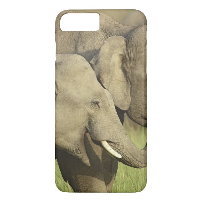 Funda De Case-Mate Para iPhone Elefantes asiáticos indios (Reverso)