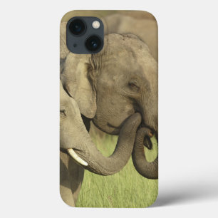 Funda Para iPhone 13 Elefantes asiáticos indios