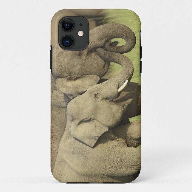 Funda De Case-Mate Para iPhone Elefantes asiáticos indios (Reverso)