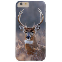 Elegante foto de temporada de invierno de ciervos 