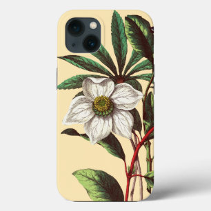 Funda Para iPhone 13 Elegante Navidades botánicos de época Rosa Flor