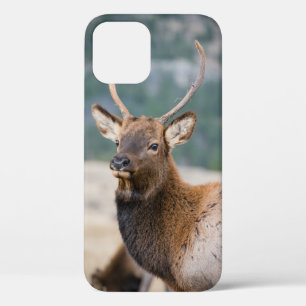 FUNDA PARA iPhone 12 ELK EN EL PARQUE NACIONAL DE LA MONTAÑA ROCKY - EL