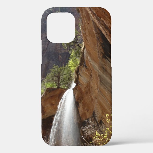 Funda De Case-Mate Para iPhone Emerald Pool Falls III del Parque Nacional Zion (Reverso )