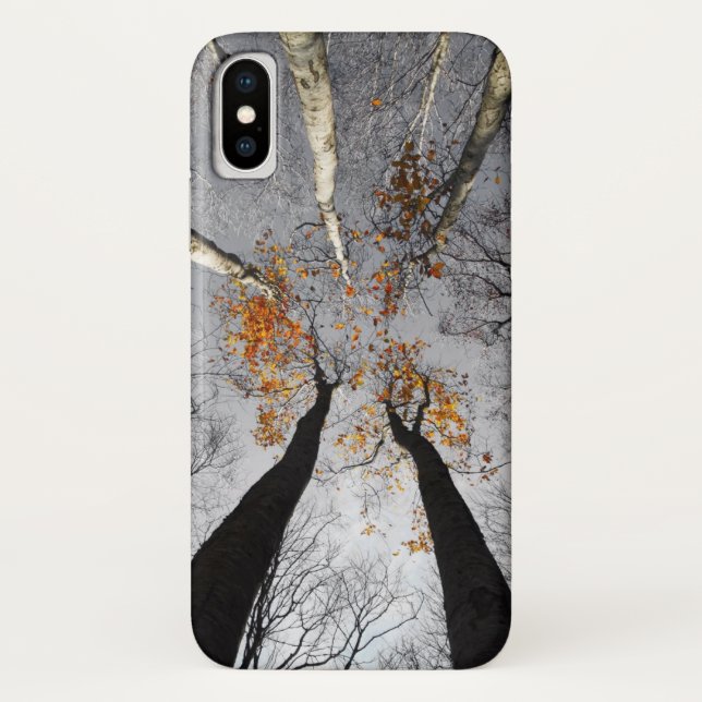 Funda De Case-Mate Para iPhone en el bosque (Reverso)