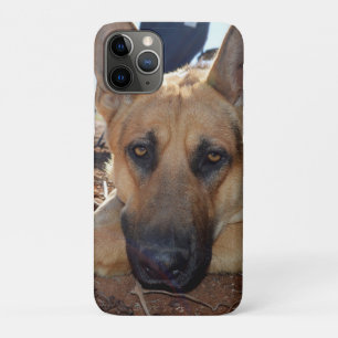 Funda Para iPhone 11 Pro Entilment soñoliento: Joven perro pastor alsaciano