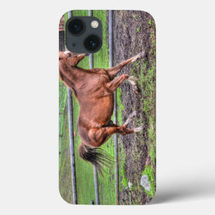 Funda Para iPhone 13 Equino de amante de los caballos del Stallion de c