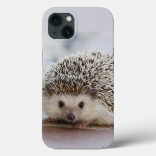 Funda Para iPhone 13 Erizo bebé 