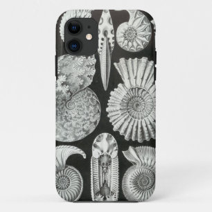 Funda Para iPhone 11 Ernst Haeckel - Ammonitida