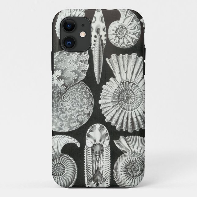 Funda De Case-Mate Para iPhone Ernst Haeckel - Ammonitida (Reverso)