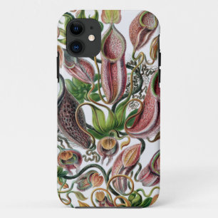 Funda Para iPhone 11 Ernst Haeckel Kunstformen der Natur Nepenthaceae P