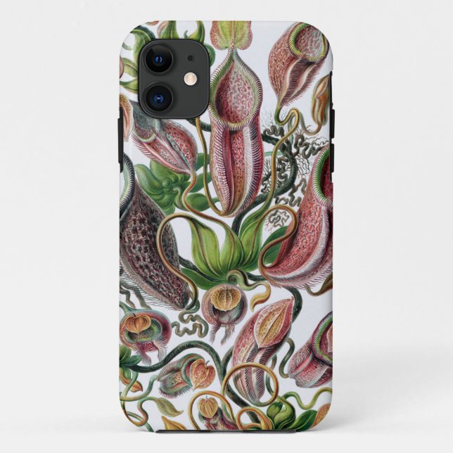 Funda De Case-Mate Para iPhone Ernst Haeckel Kunstformen der Natur Nepenthaceae P (Reverso)