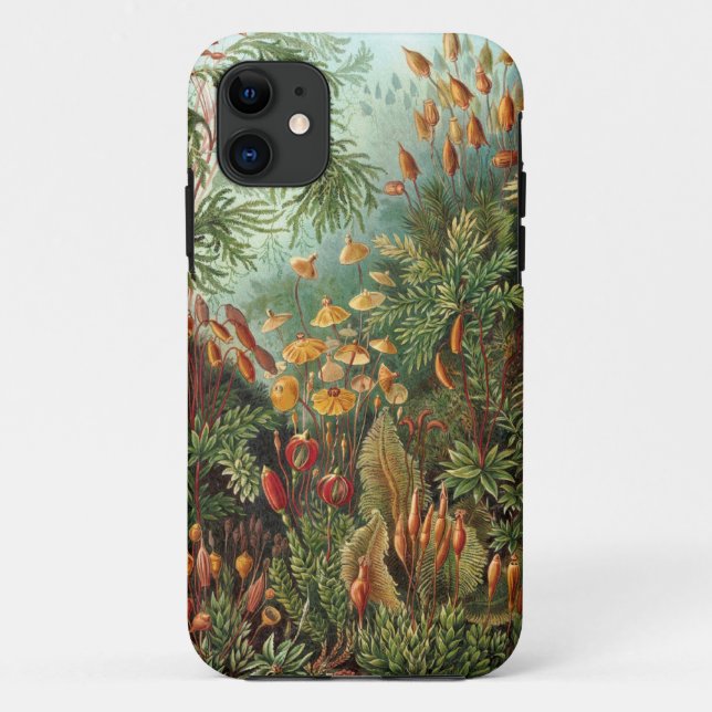 Funda De Case-Mate Para iPhone Ernst Haeckel - Muscinae (Reverso)