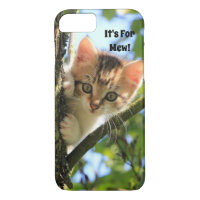 Es para Mew Kitten