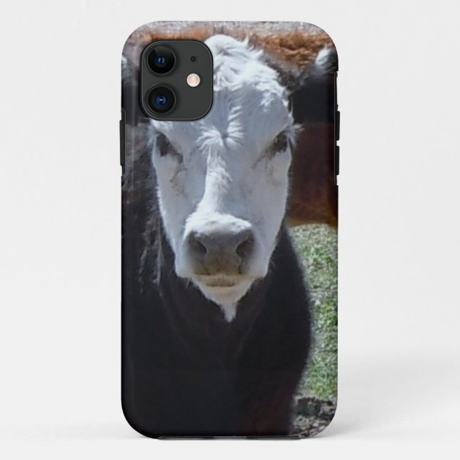 Funda De Case-Mate Para iPhone ¡Es un rodeo! El ganado blanco negro acobarda (Reverso)