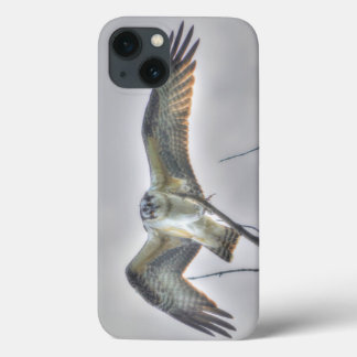 Funda Para iPhone 13 Escena de foto de vida silvestre Juvenile Osprey F