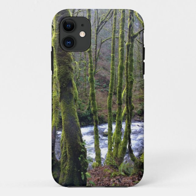 Funda De Case-Mate Para iPhone Escurrimiento desde las cataratas del velo de novi (Reverso)