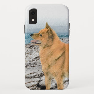 Funda Para iPhone XR Espitz finlandés en la pintura de la costa - Arte