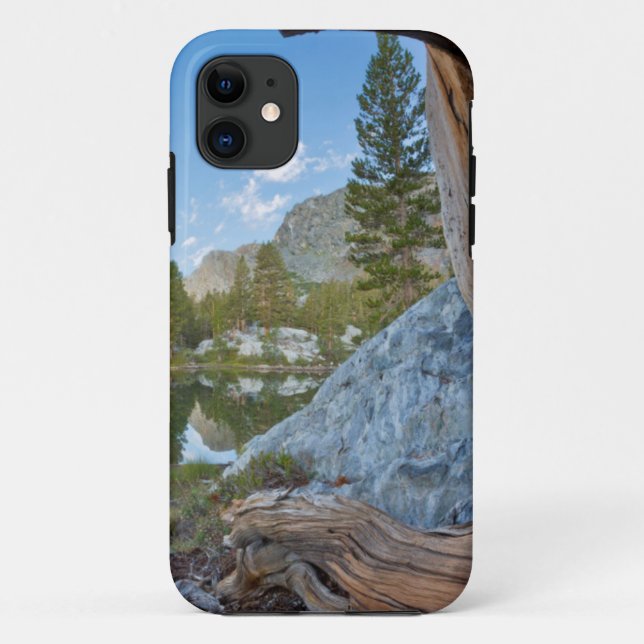 Funda De Case-Mate Para iPhone Estados Unidos, California, Bosque Nacional Inyo.  (Reverso)