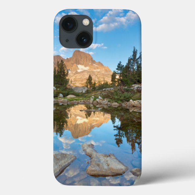 Funda De Case-Mate Para iPhone Estados Unidos, California, Bosque Nacional Inyo.2 (Reverso)
