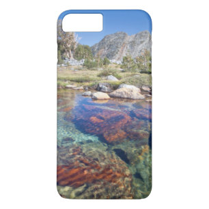 title_seo2 Estados Unidos, California, Bosque Nacional Inyo 4
