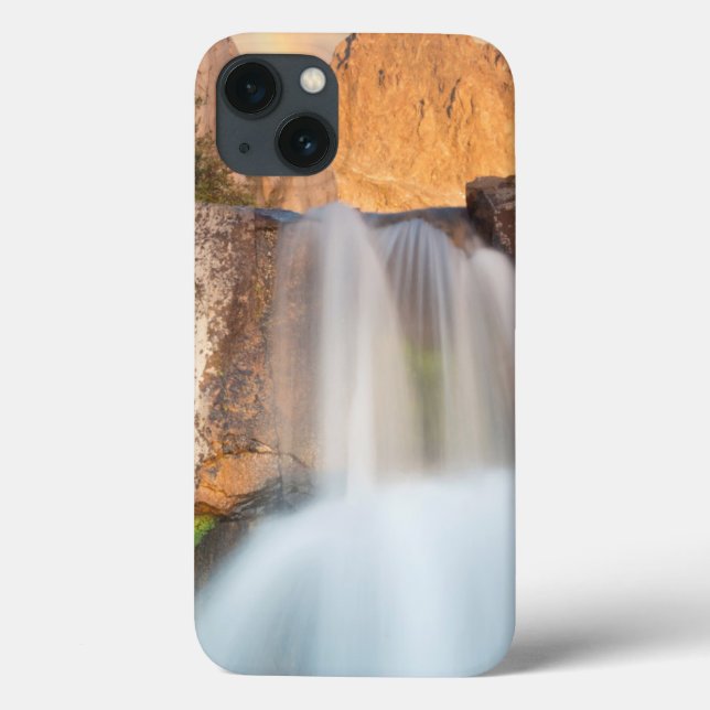 Funda De Case-Mate Para iPhone Estados Unidos, California, Bosque Nacional Inyo.C (Reverso)