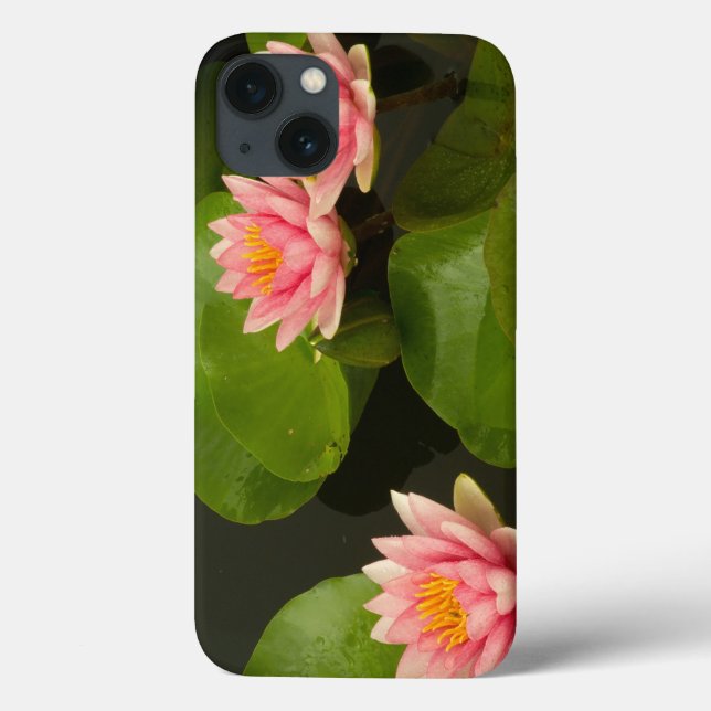 Funda De Case-Mate Para iPhone Estados Unidos, DC, Washington, Kenilworth 4 (Reverso)