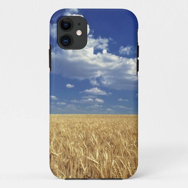 Funda De Case-Mate Para iPhone Estados Unidos, Estado de Washington, Colfax. Trig (Reverso)