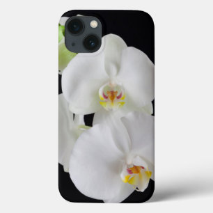 Funda Para iPhone 13 Estados Unidos, Georgia, Savannah, Grupo De Orquíd