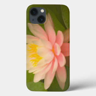 title_seo2 Estados Unidos, Maryland, Westminster, Unión